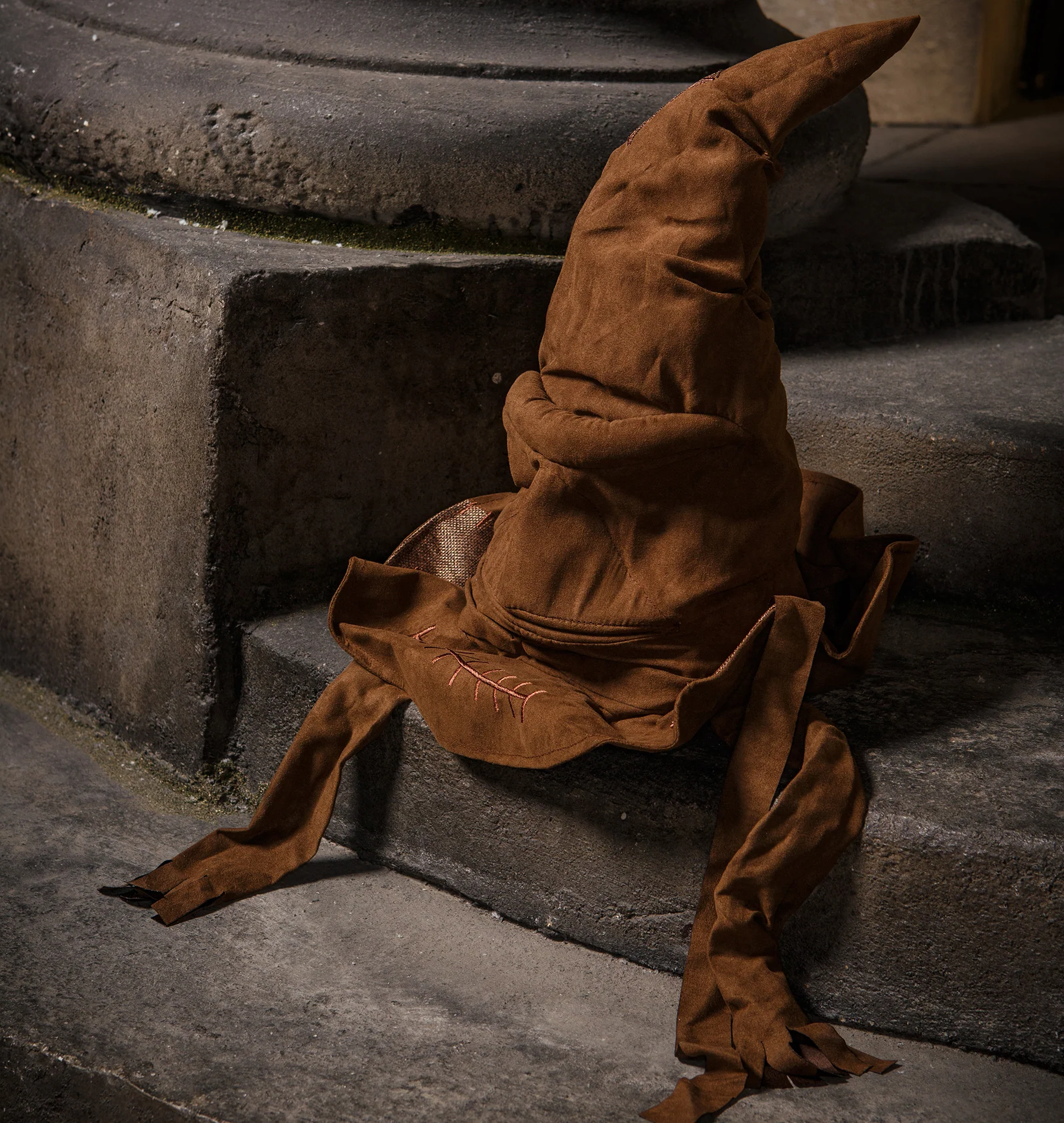 Animated Sorting Hat - Image 2