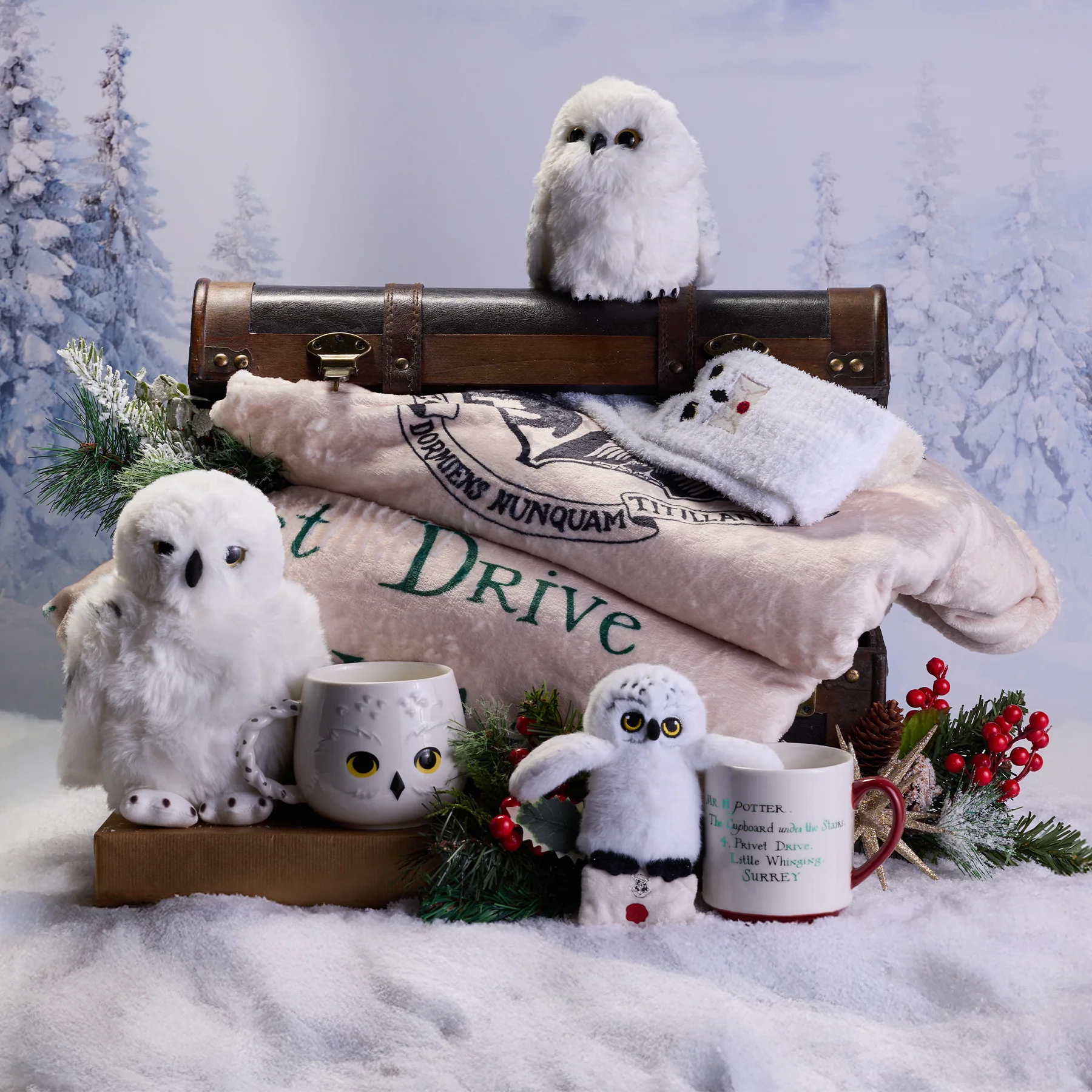 Acceptance Letter Mug & Plush Gift Set - Image 5