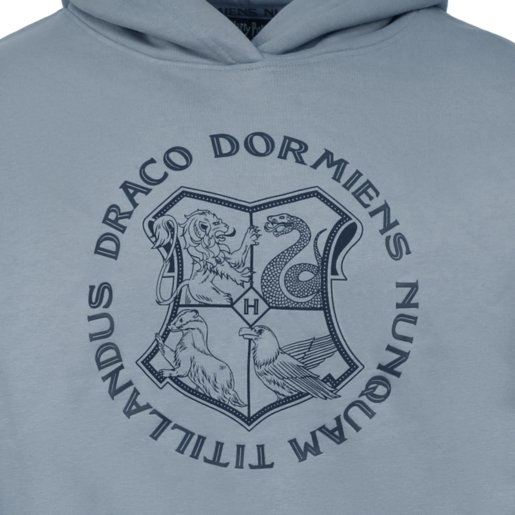 Hogwarts Crest Logo Hoodie - Image 5