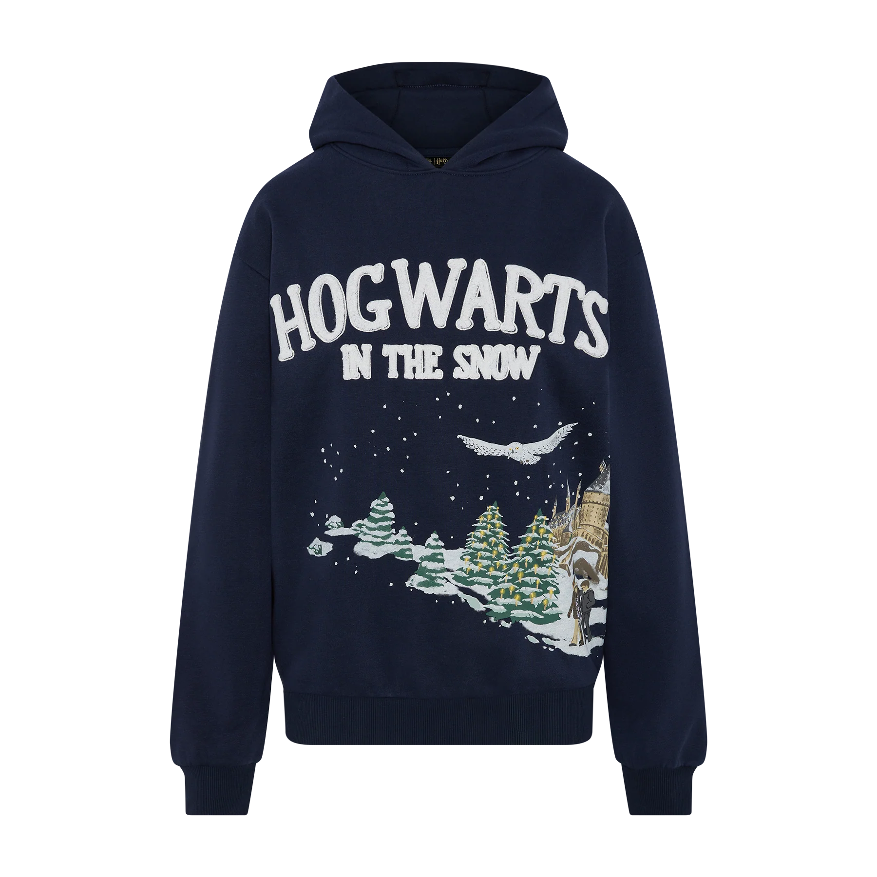 Hogwarts in the Snow Hoodie