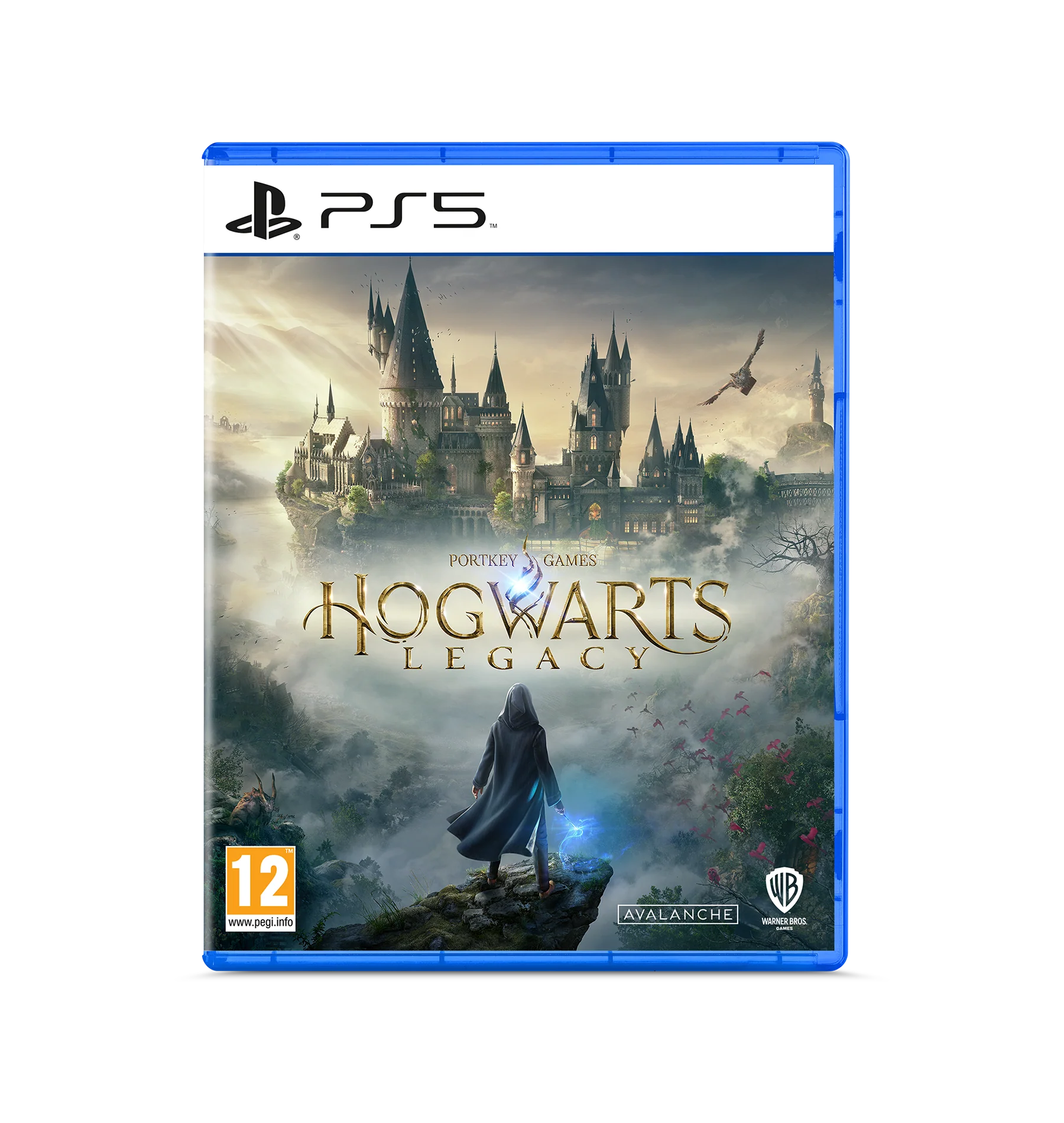 Hogwarts Legacy PS5 Game