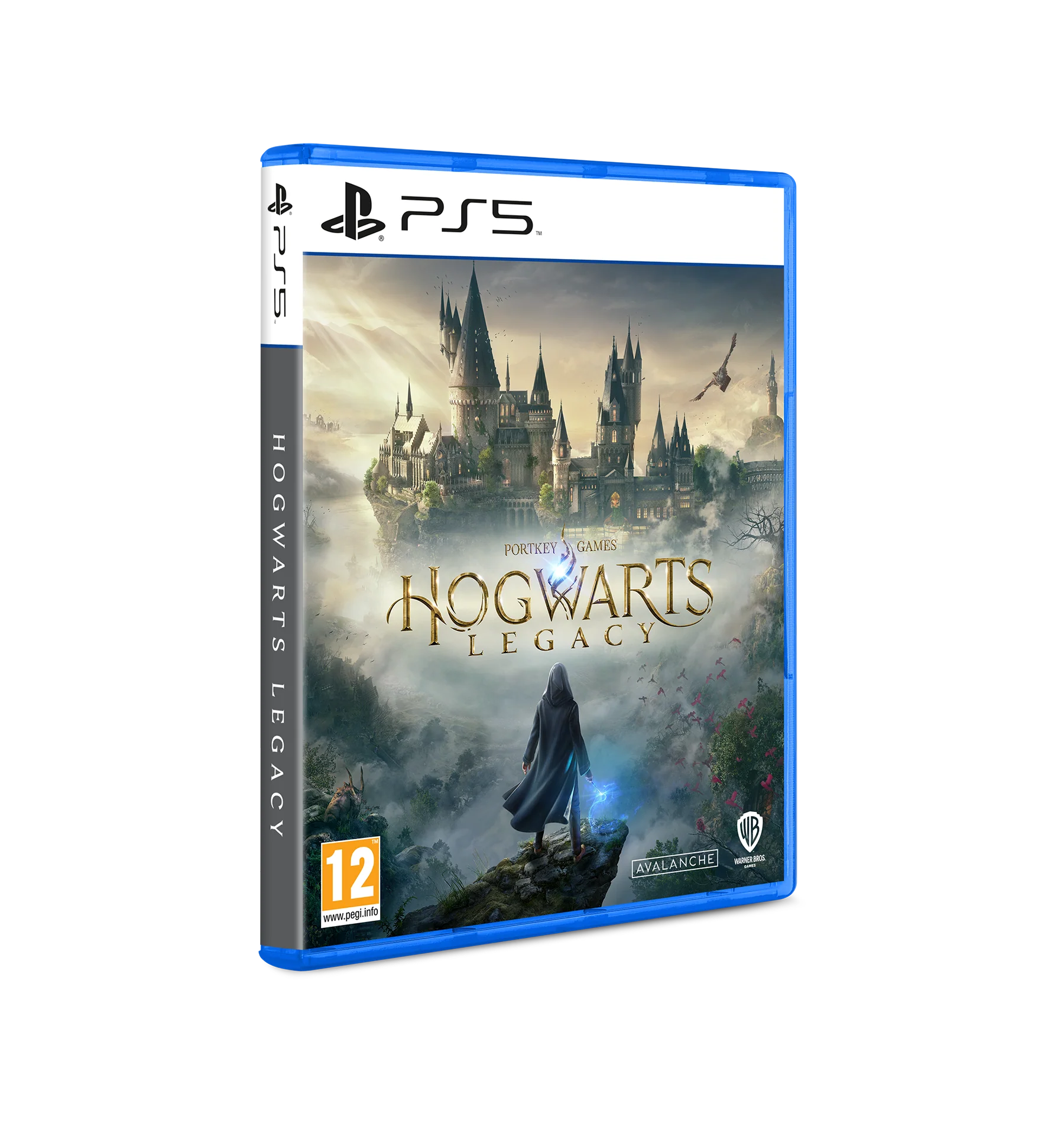 Hogwarts Legacy PS5 Game - Image 2