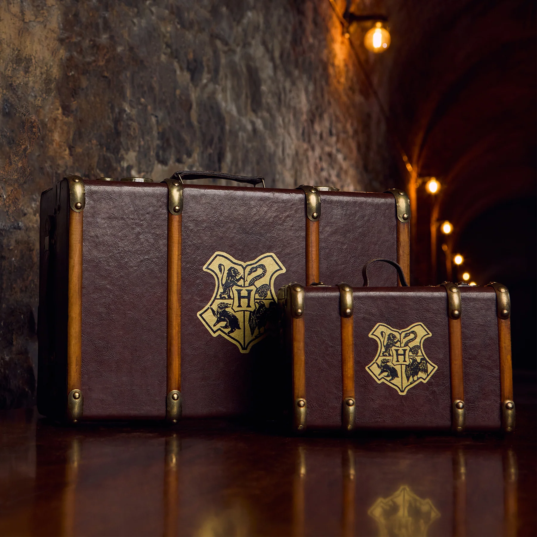 Hogwarts School Trunk Replica Combo