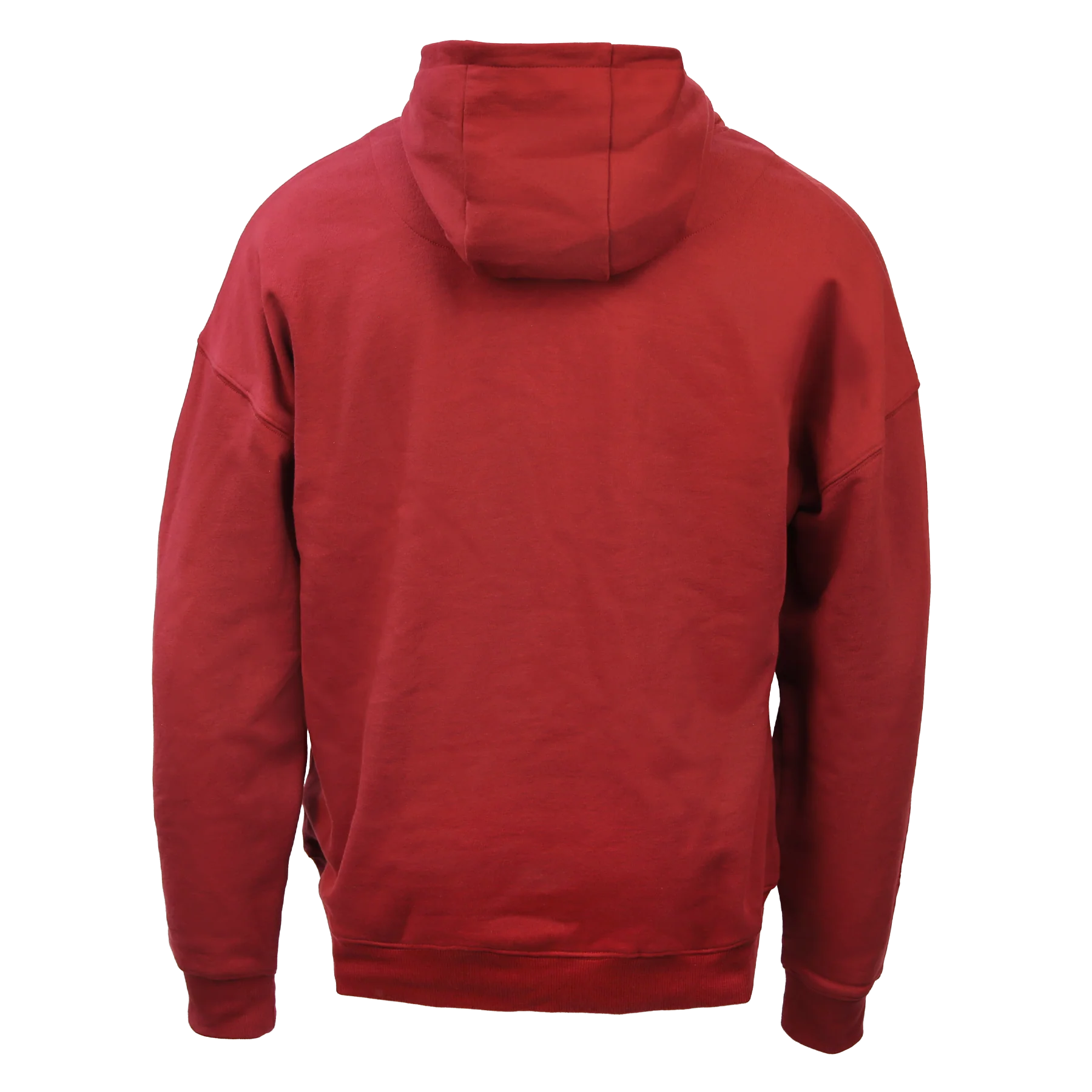 House Mascot Gryffindor Hoodie - Image 2