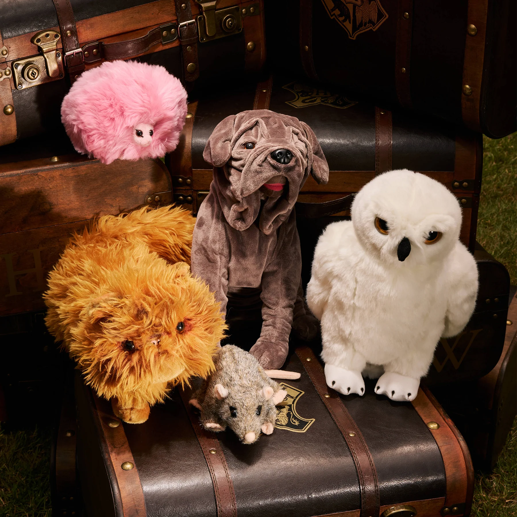 Pygmy Puff Soft Toy - Image 5